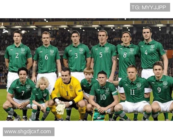 巴拿马对北爱尔兰精彩比赛视频回顾与分析分享