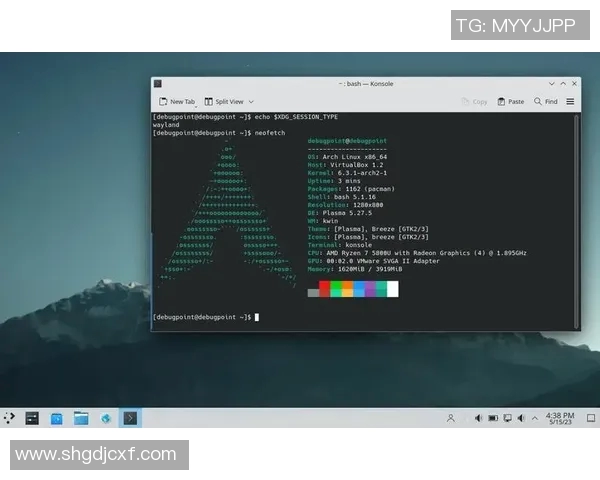 探索VS2003英文版的功能与应用技巧提升开发效率的全面指南