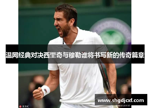 温网经典对决西里奇与穆勒谁将书写新的传奇篇章